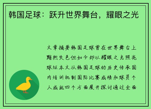 韩国足球：跃升世界舞台，耀眼之光